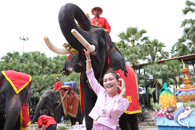 THAILAND-PATTAYA-NATIONAL ELEPHANT DAY