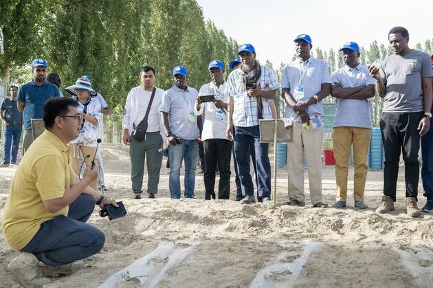 A shared mission: Greening Africa's deserts with Chinese expertise