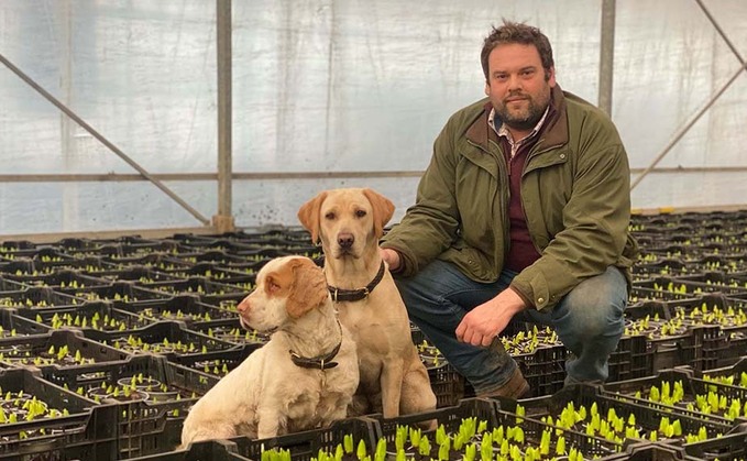 In your field: James Lacey - 'We are preparing for Valentine's Day'