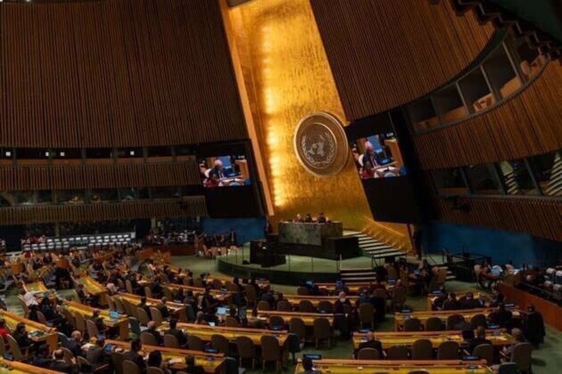 Next UN Secretary-General Should Champion Rights