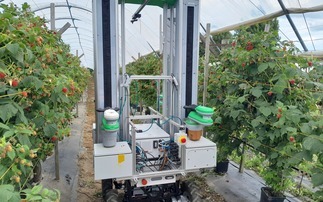 Horticulture: Autonomous harvesters set for UK farm trials after £3m backing
