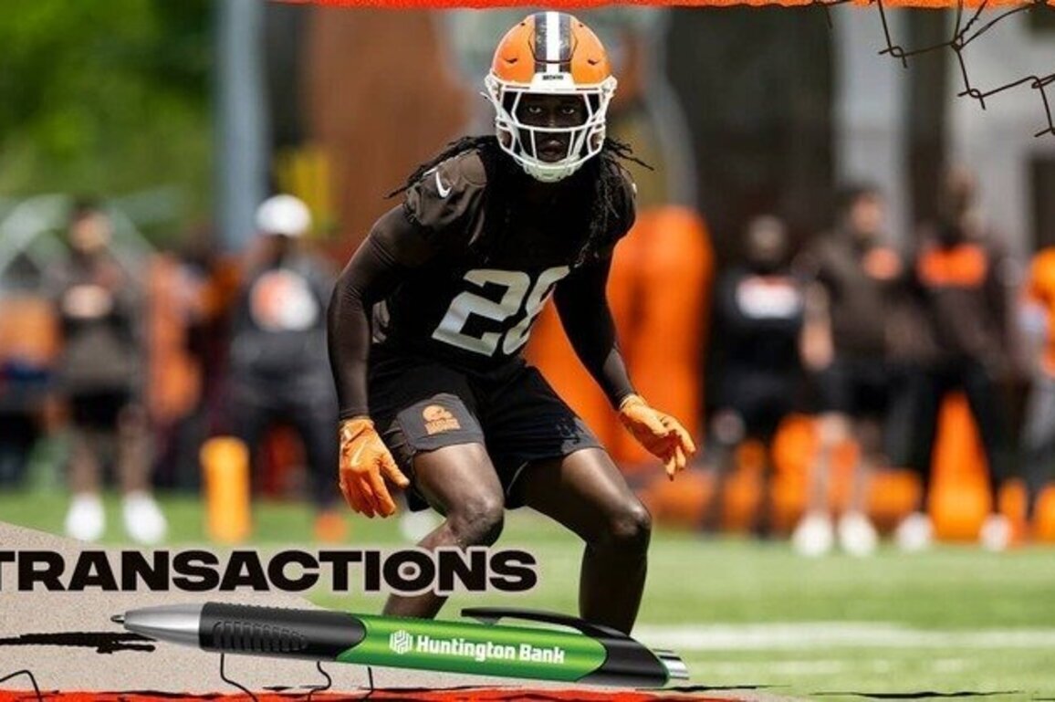 Browns sign S Emmanuel McNeil-Warren