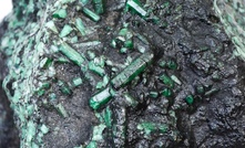 Esmeralda Pequena Notável será leiloada