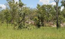 The Leliyn landscape.