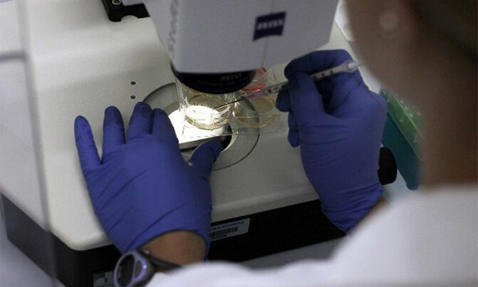 Disease gene 'edited' in human embryos in scientific first Disease gene 'edited' in human embryos in scientific first