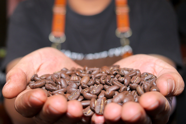 INDONESIA-ACEH-COFFEE BEANS