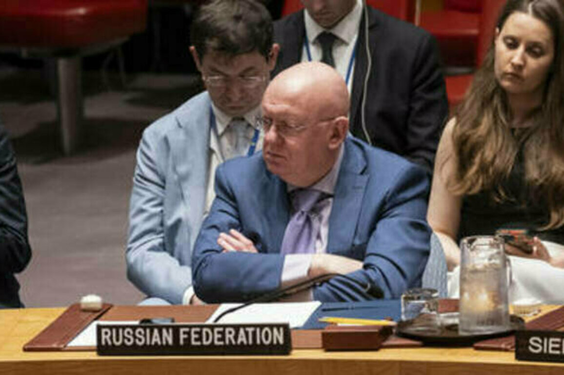 The West waging 'centuries-old war' against Moscow - Russia's top UN diplomat