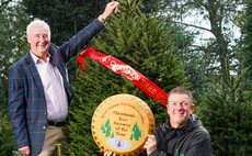 Devon farm wins prestigious Downing Street Christmas tree accolade