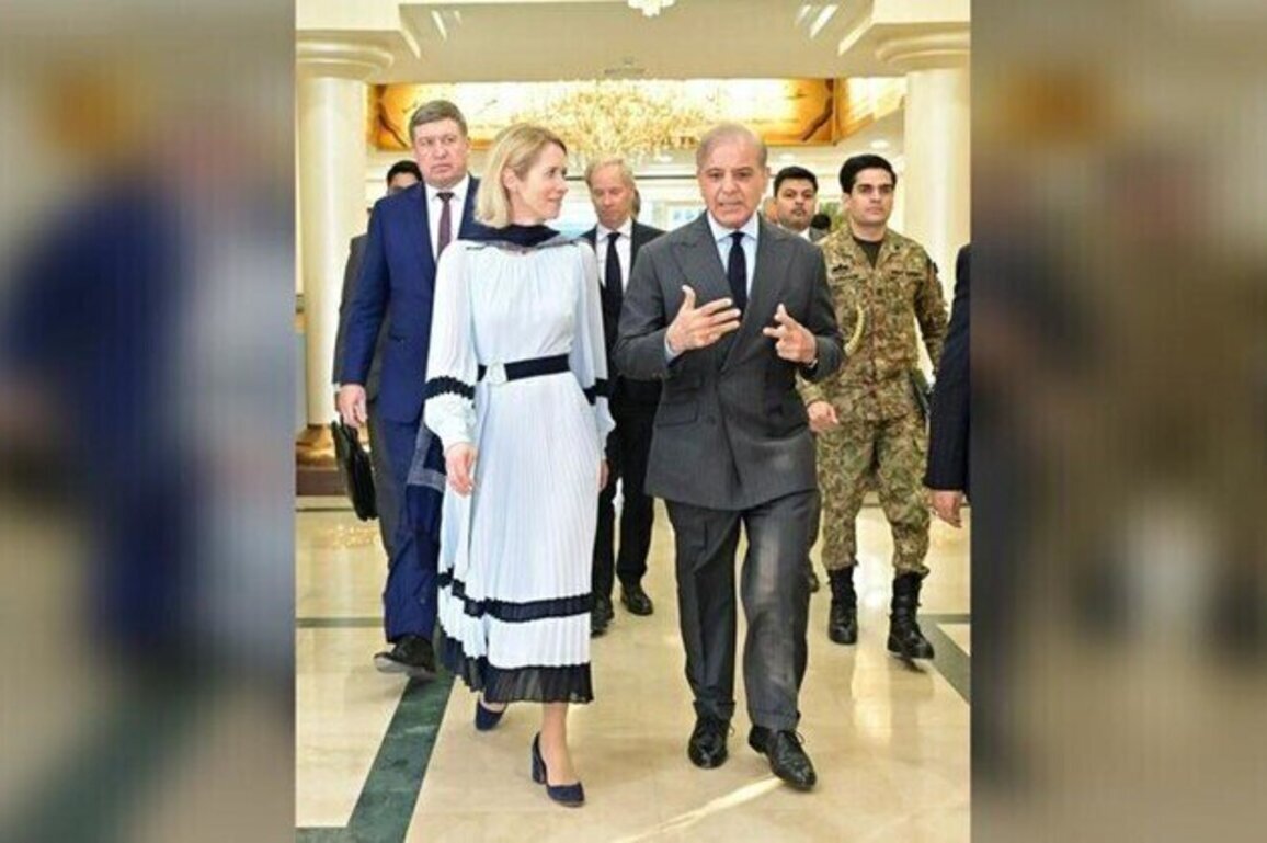 EU draws Indias ire over joint statement with Pakistan