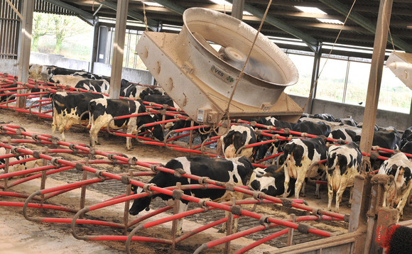 Top tips for installing fans into dairy cow housing