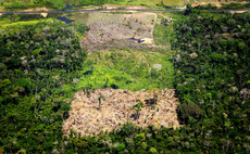 UK financiers accused of directly funding companies that threaten rainforest