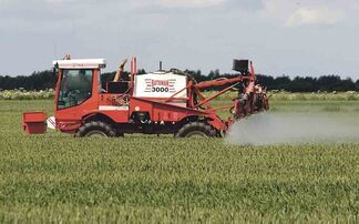 Making the most of T3 fungicides and nutrition – how to protect crop yield, protein and profitability