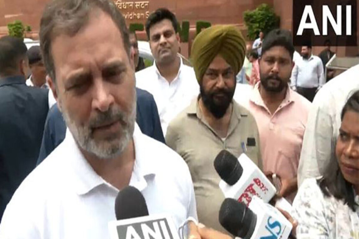 Rahul Gandhi accuses EC of failing to uphold 'One Man, One Vote,' vows to protect Constitution