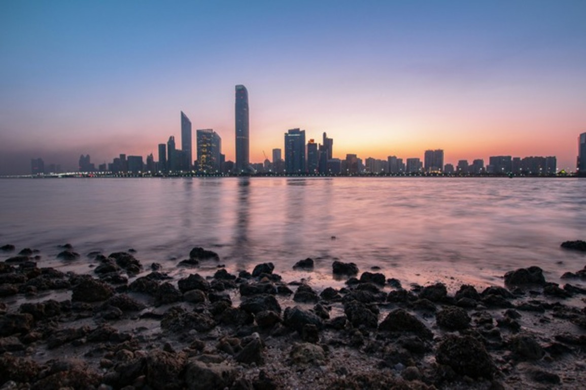 UAE pledges $1 billion to boost AI access for African development