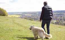 Dog walker comes forward to pay £265 livestock worrying fee after being caught on CCTV