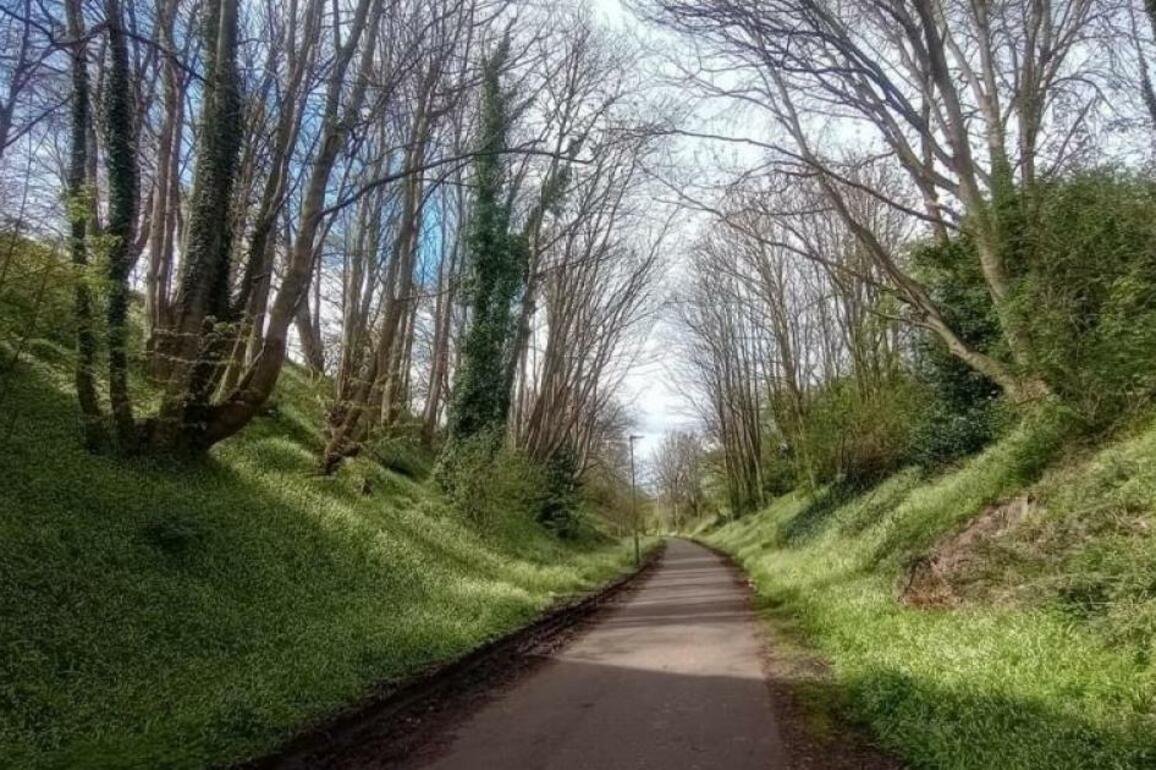 Police probing gang violence find firearm at Edinburgh's Roseburn path - The Herald
