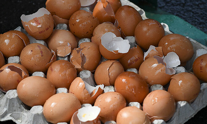 Tainted-eggs scandal reaches Italy Tainted-eggs scandal reaches Italy