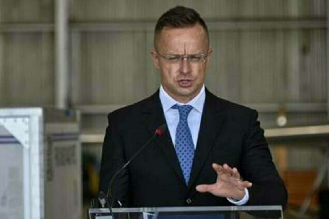 EU 'preparing for war' - member state
