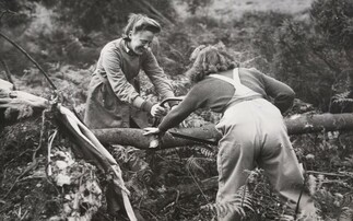 Defra honours thousands of Land Girls and Lumberjills who fought from the fields in WWII