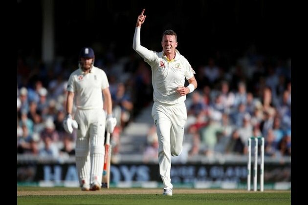 Peter Siddle wants to crack opportunity against New Zealand