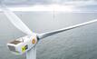 Australia's offshore wind industry takes flight