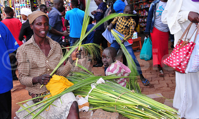 Palm Sunday:Christians urged to take part in the holy triduum Palm Sunday:Christians urged to take part in the holy triduum