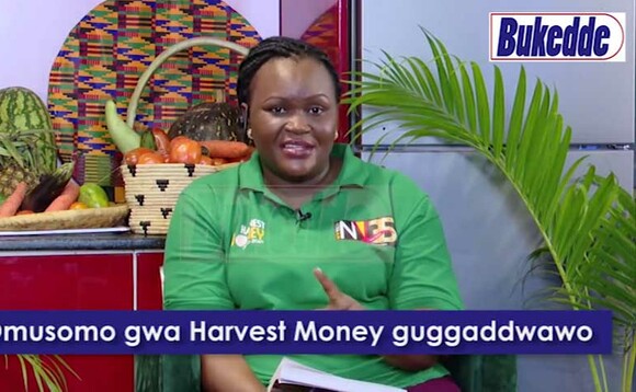 Omusomo gwa 'Harvest Money' guwedde. Omusomo gwa 'Harvest Money' guwedde.