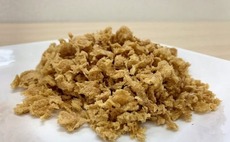 Japan plant-based meat player raises $47m