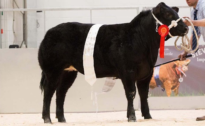 New centre store cattle record at Carlisle