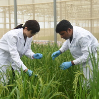 CHINA-HAINAN-PAKISTANI RESEARCHERS-AGRICULTURAL INNOVATION WITH CHINA