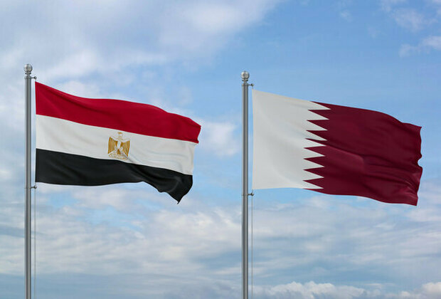 Egypt, Qatar emphasise need to unify efforts to re-establish stability in Syria