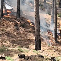 Jammu and Kashmir: Forest officials battle growing fires amid dry spell in Rajouri