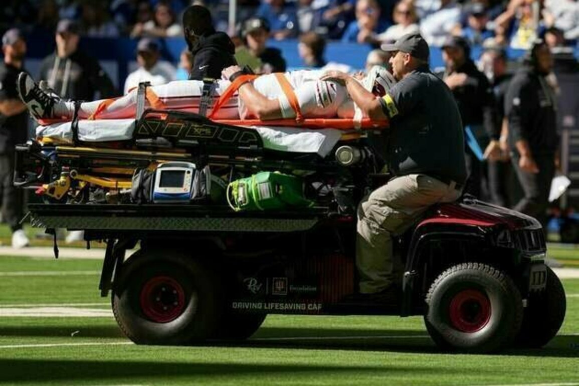 Cardinals' Travis Vokolek (neck) taken off via stretcher; Marvin Harrison (concussion) also out