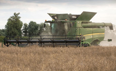 How to increase oilseed rape moisture content