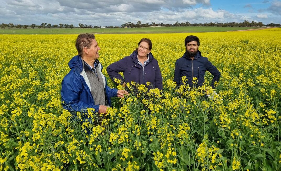 Corrigin Farm Improvement Group’s Executive Officer Joy Valle (centre) stands in a canola crop at the Kweda field site in 2024 with Soil CRC and Murdoch University Emeritus Professor, Dr Richard Bell (left), and Soil CRC researcher Dr Hassan Sardar.