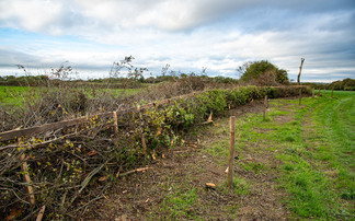 Farmers urged to prepare for capital grants reopening