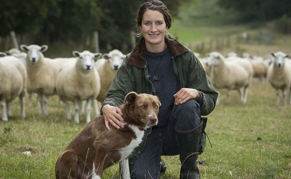 In your field: Marie Prebble - 'I am in Iceland with plenty of shearing ahead of me'