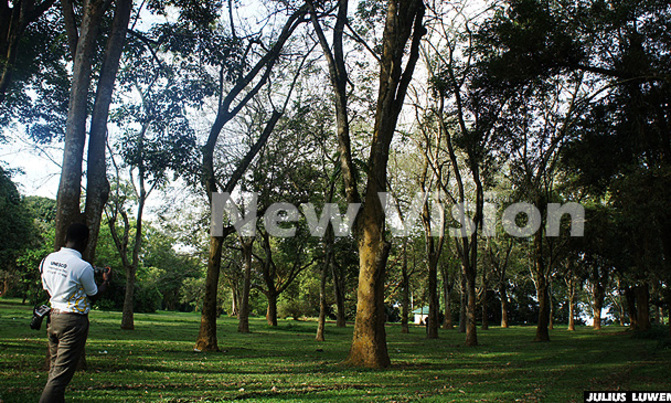 Entebbe Botanical Gardens leased out Entebbe Botanical Gardens leased out