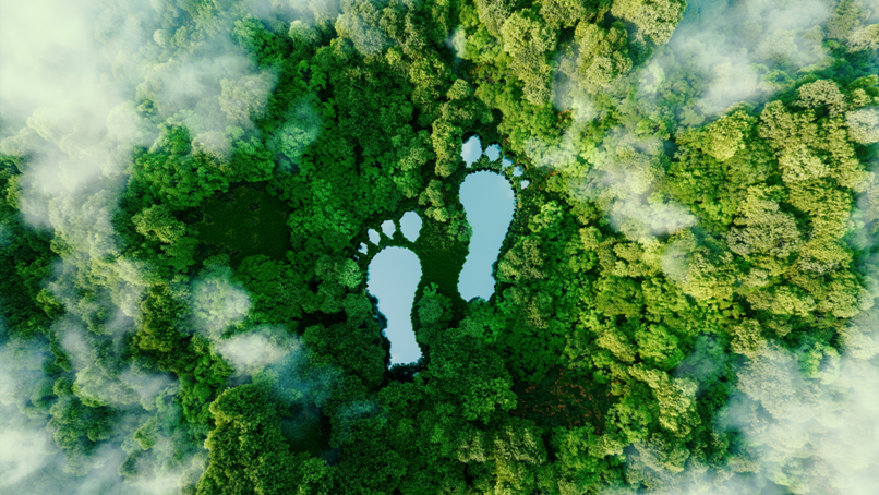 Image: petrmalinak/Shutterstock