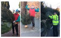 The 'tree amigos' come to the rescue at local church 