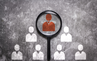 Largest professional trustee firms overseeing nearly half of DB schemes