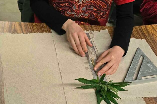 Dabney- Blazing new trails in cannabis research and education