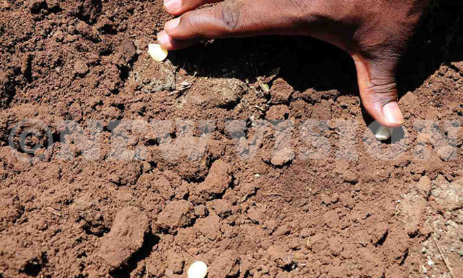 How to increase yields on your farm How to increase yields on your farm