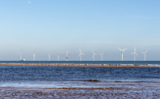 Record clean power auctions, net zero cost rows, and Winter Olympics fears