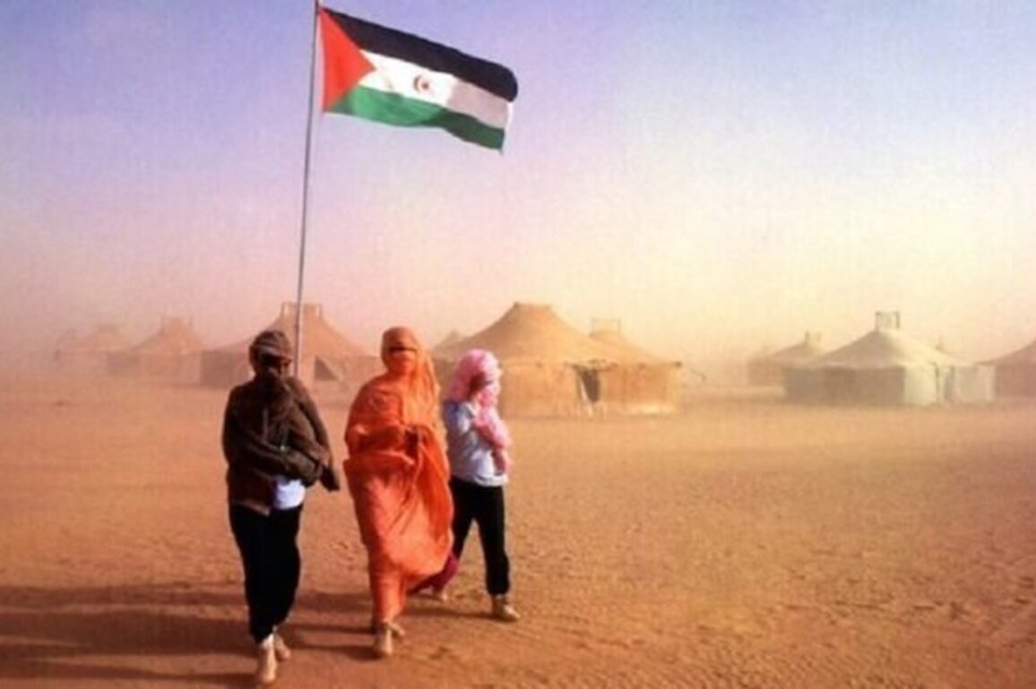 Saharawi Activist Reportedly Enduring Harsh Conditions in Kenitra Prison