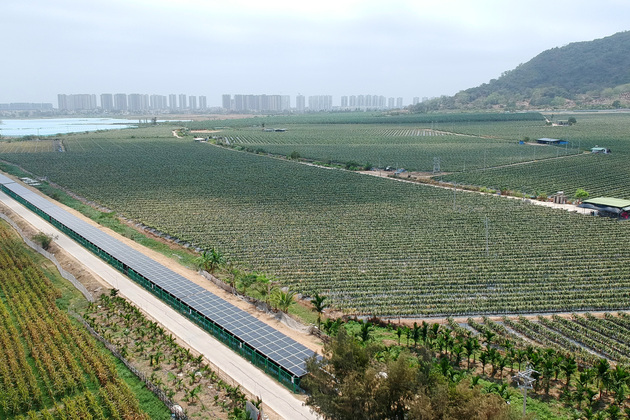 CHINA-HAINAN-LINGSHUI-DISTRIBUTED PHOTOVOLTAIC PROJECT (CN)