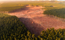 Tropical forest loss declined by over a third in 2025, but remains off track to meet 2030 targets