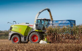 Earlier maturing maize varieties may be required to combat UK weather