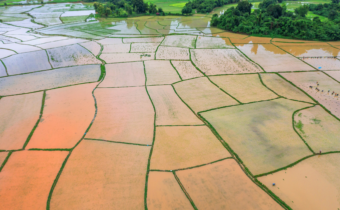 'Loss and suffering': Latest weather records fuel climate resilience warnings