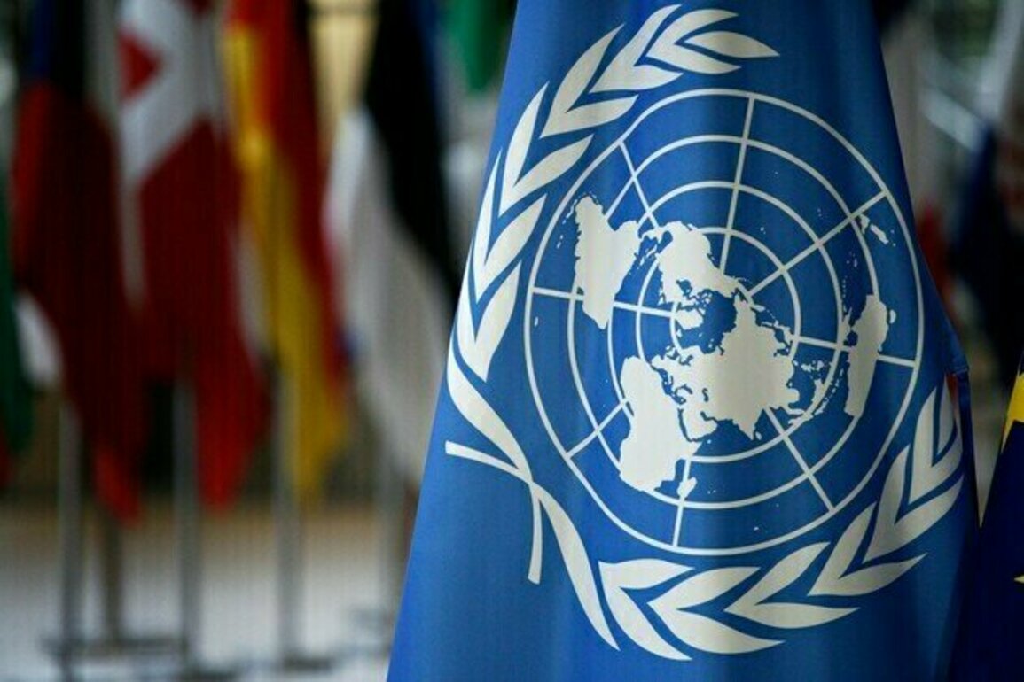 UN Security Council condemns attack on Niger's Kokorou town